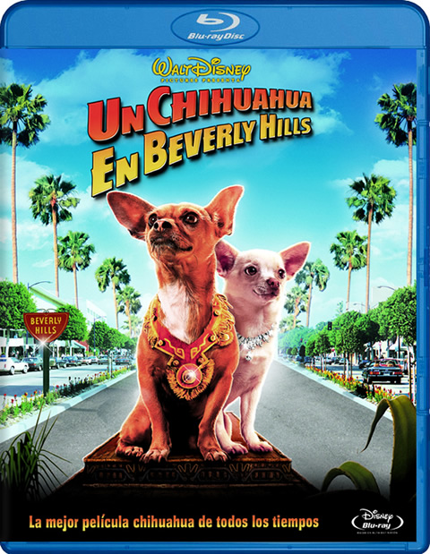 Carátula Un chihuahua en Beverly Hills Blu-ray