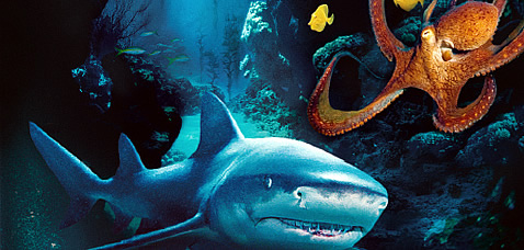 Carátula Deep Sea IMAX Blu-ray